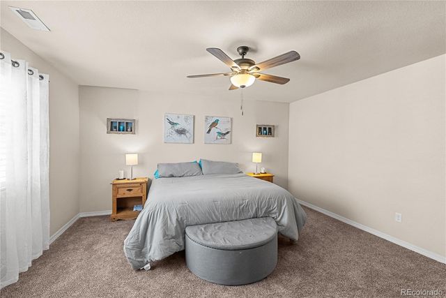 4044 Silver Star Grove, Colorado Springs, CO 80911
