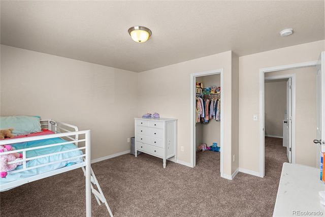 4044 Silver Star Grove, Colorado Springs, CO 80911