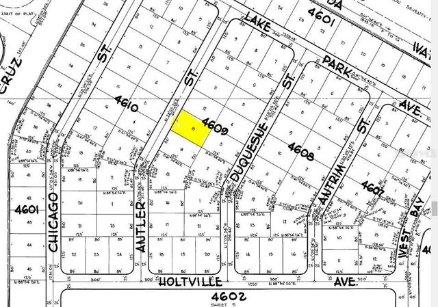 10008 ANTLER STREET, Port Charlotte, FL 33981