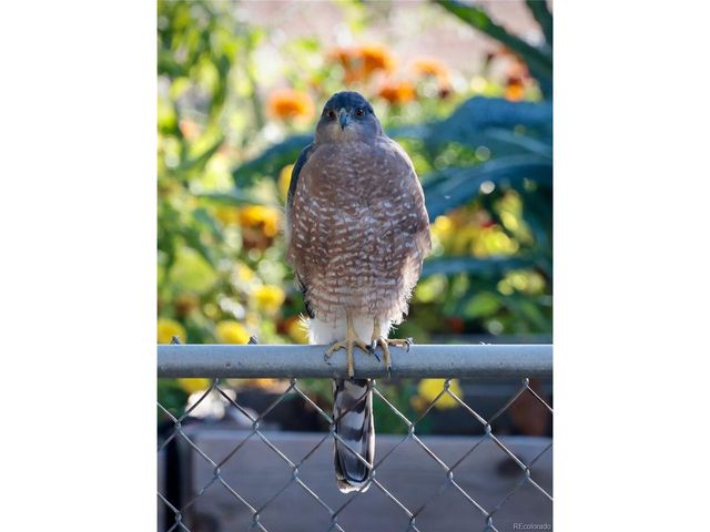 6266 S Valleyview St, Littleton, CO 80120