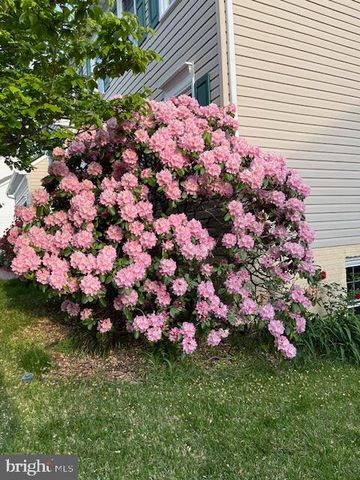 6120 N DANFORD ST, Fredericksburg, VA 22407