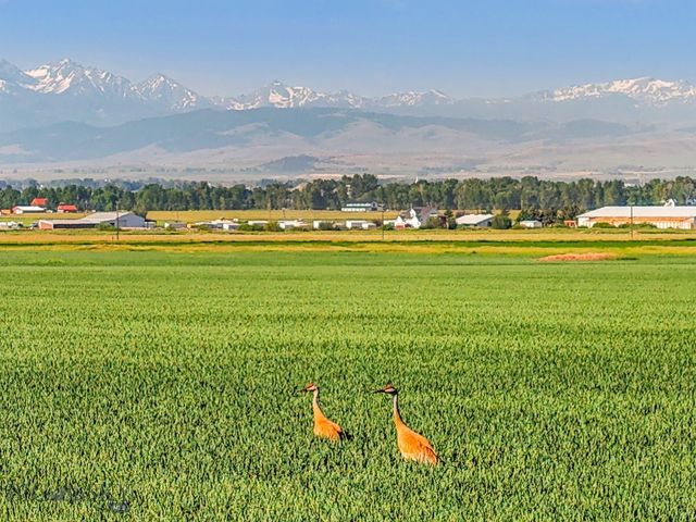 TBD Penwell Bridge Road, Belgrade, MT 59714