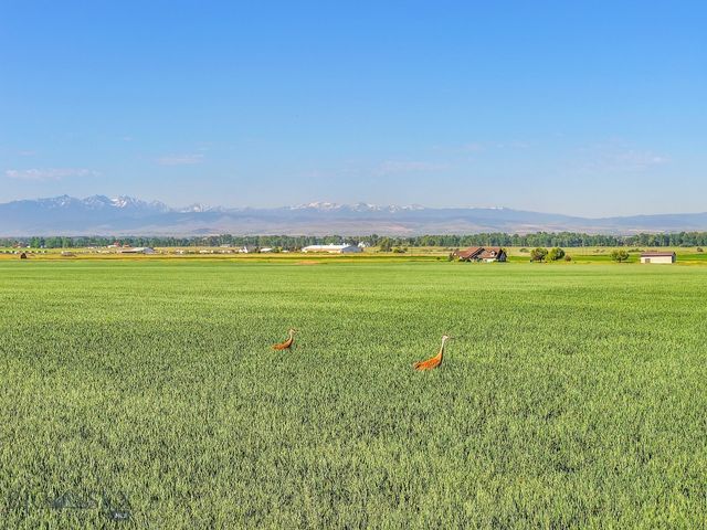 TBD Penwell Bridge Road, Belgrade, MT 59714