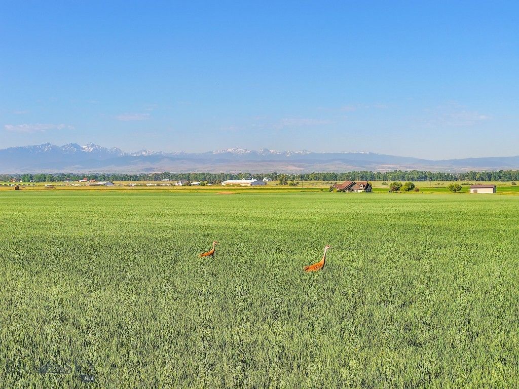TBD Penwell Bridge Road, Belgrade, MT 59714 photo 6