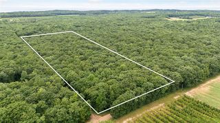 V/L W Woodrow Road, Shelby, MI 49455