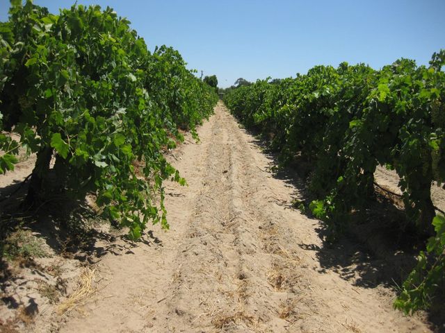 1375 W Rose Avenue, Fresno, CA 93706