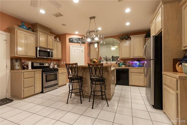 19305 Buck Fawn Drive, Edinburg, TX 78542