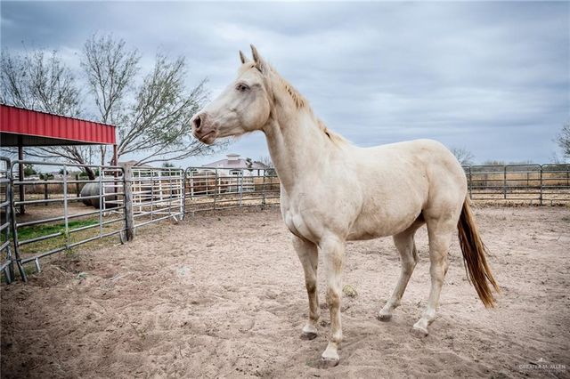 19305 Buck Fawn Drive, Edinburg, TX 78542