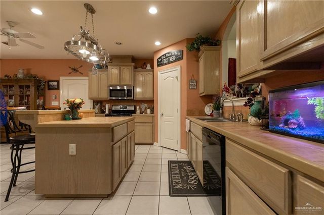 19305 Buck Fawn Drive, Edinburg, TX 78542