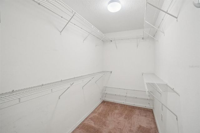 3529 LEFAYS POINT, Land O Lakes, FL 34638