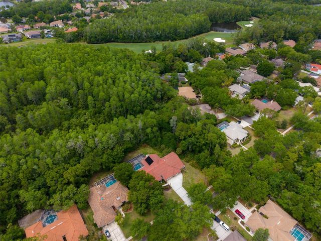 1404 EAST LAKE WOODLANDS PARKWAY, Oldsmar, FL 34677