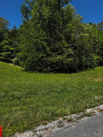 00 Goodfield Terrace 33, Decatur, TN 37322