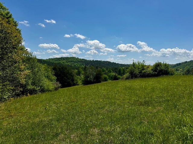 00 Goodfield Terrace 33, Decatur, TN 37322