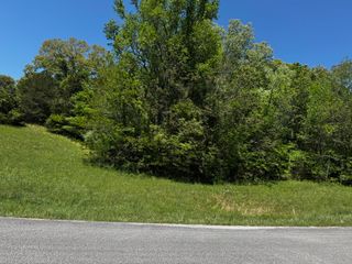 00 Goodfield Terrace 33, Decatur, TN 37322