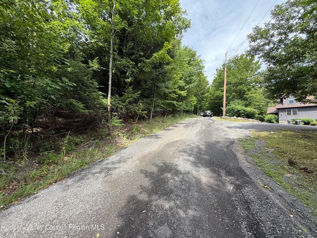 0 Off Larsen Dr, Windham, NY 12496