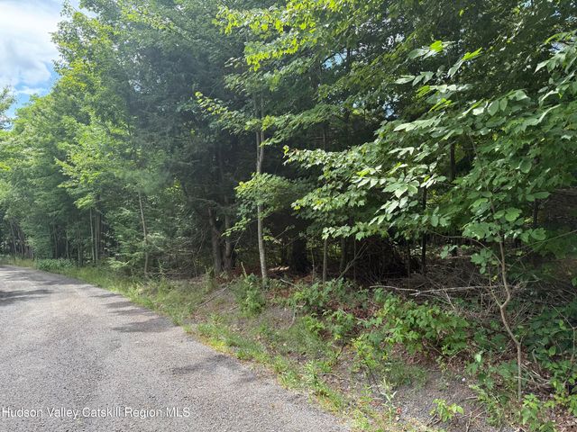 0 Off Larsen Dr, Windham, NY 12496