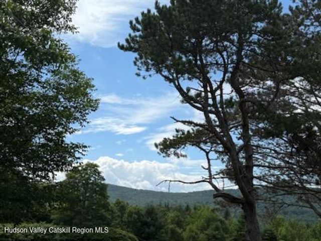 0 Off Larsen Dr, Windham, NY 12496