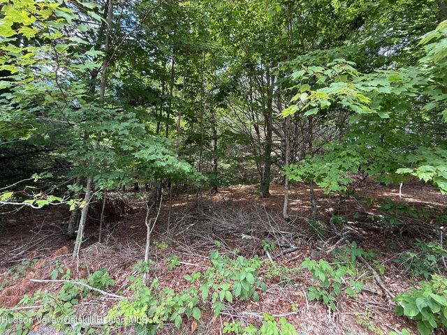 0 Off Larsen Dr, Windham, NY 12496