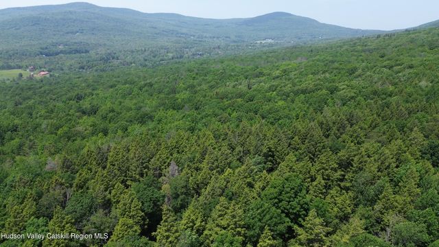 0 Off Larsen Dr, Windham, NY 12496