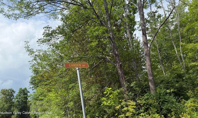 0 Off Larsen Dr, Windham, NY 12496
