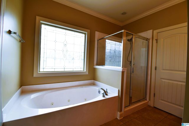 78 VILLAGE TRACE DRIVE, Springville, AL 35146