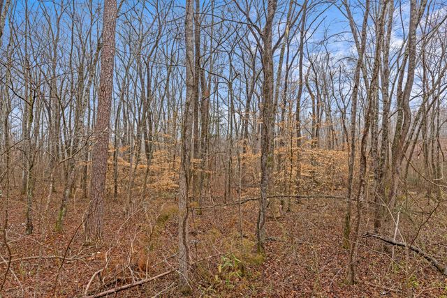 356 Tennessee 68, Decatur, TN 37322