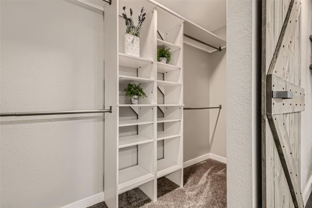 13104 Tilder DR, Austin, TX 78729