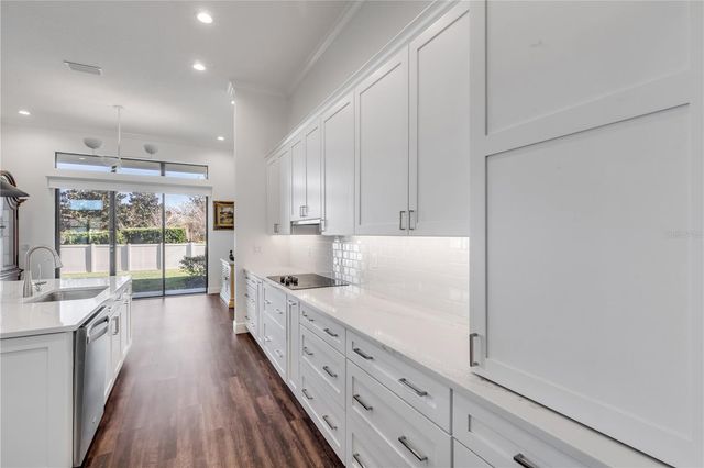 3053 ISOLA BELLA BOULEVARD, Mount Dora, FL 32757