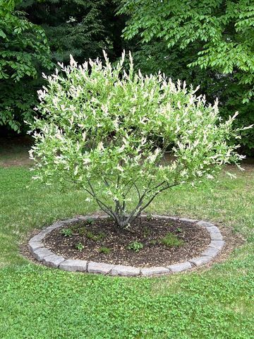 535 Darby Drive, Belmont, NH 03220