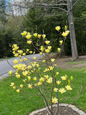 535 Darby Drive, Belmont, NH 03220