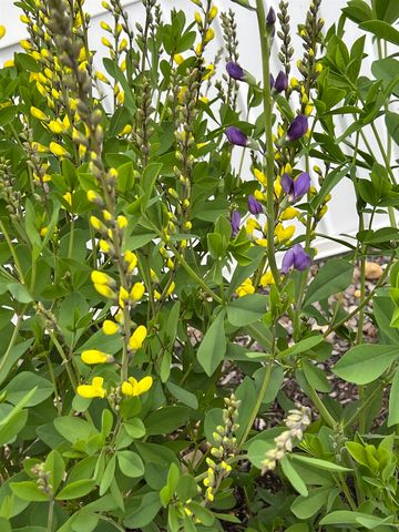 535 Darby Drive, Belmont, NH 03220