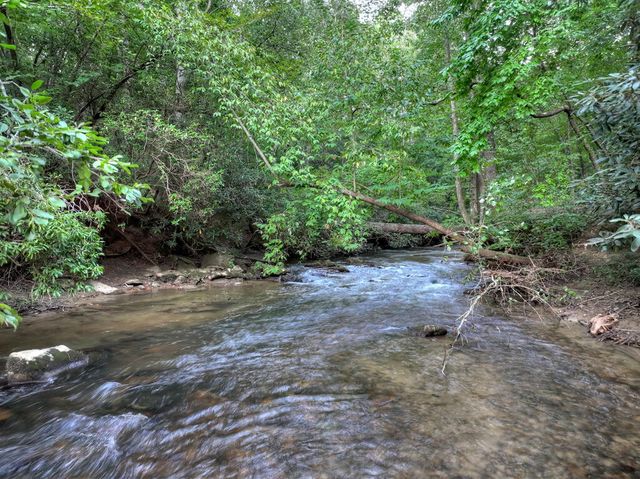 303 Major Ridge Road, Blue Ridge, GA 30513