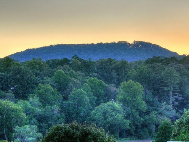 303 Major Ridge Road, Blue Ridge, GA 30513