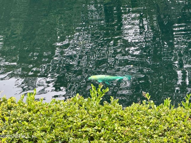 955 REGISTRY Boulevard 229, St. Augustine, FL 32092