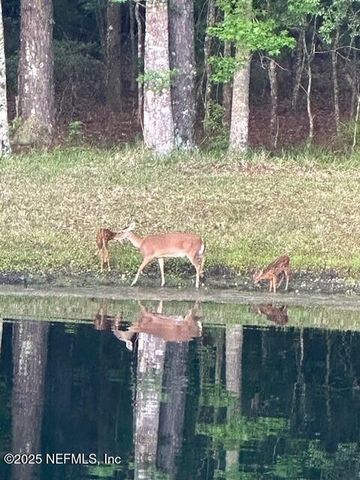 955 REGISTRY Boulevard 229, St. Augustine, FL 32092