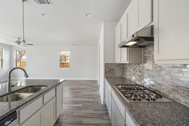 1341 Salt Lick DR, Georgetown, TX 78633