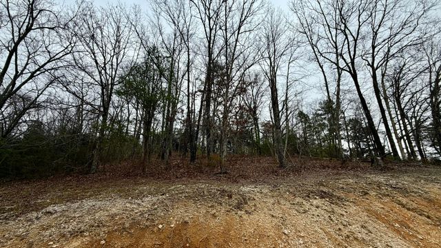 800 Old Mill Road, Dayton, TN 37321