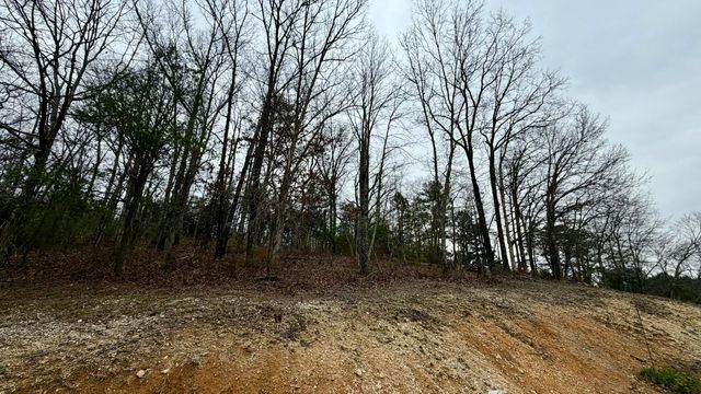 800 Old Mill Road, Dayton, TN 37321