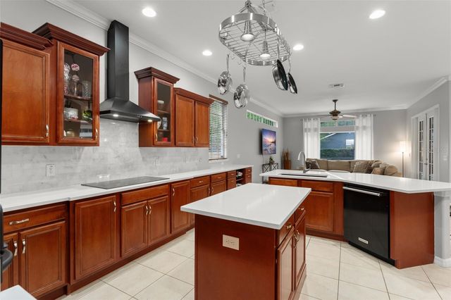 14411 HAMPSHIRE BAY CIRCLE, Winter Garden, FL 34787