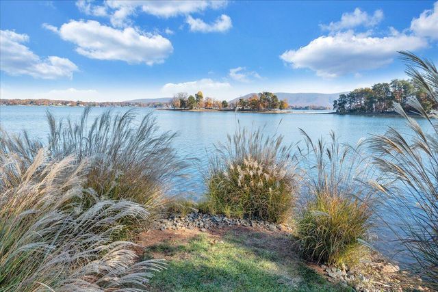 362 Carrs Point LN, Moneta, VA 24121