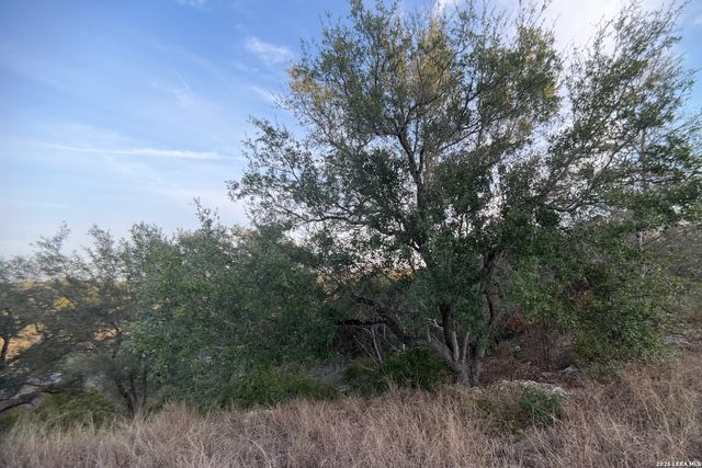 23906 Carina, San Antonio, TX 78255