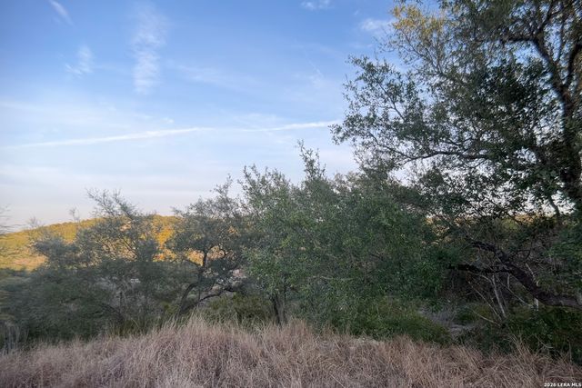 23906 Carina, San Antonio, TX 78255