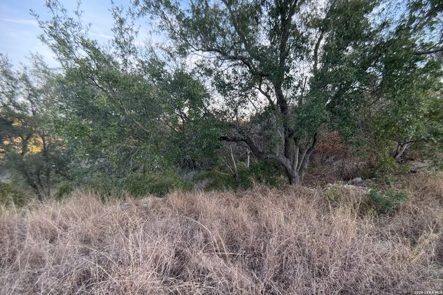 23906 Carina, San Antonio, TX 78255