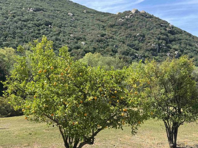 1394 Peutz Valley Road, Alpine, CA 91901