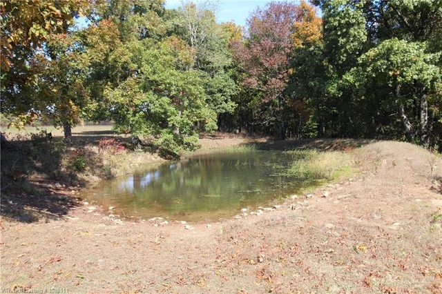 22908 Bidville Road, Winslow, AR 72959