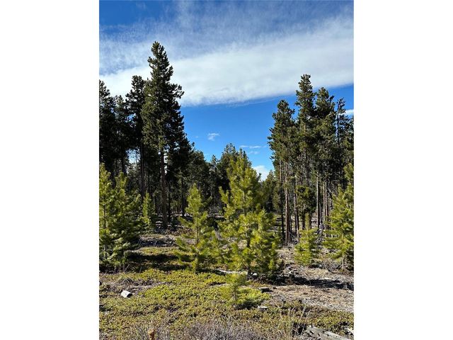 1101 County Road 99, Black Hawk, CO 80422