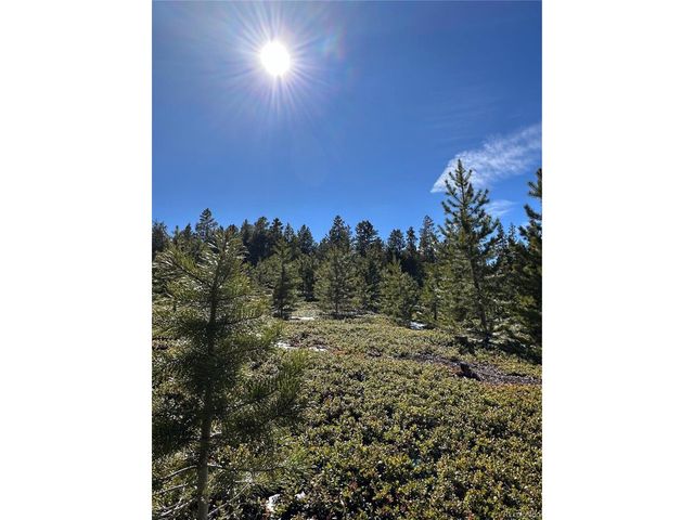 1101 County Road 99, Black Hawk, CO 80422