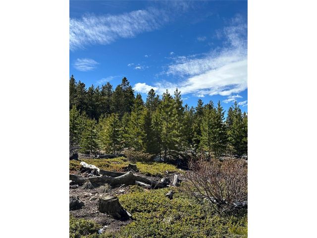 1101 County Road 99, Black Hawk, CO 80422