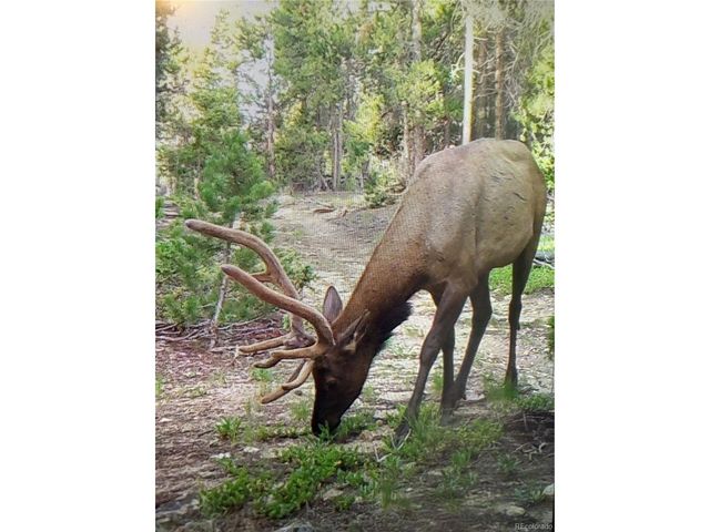 1101 County Road 99, Black Hawk, CO 80422