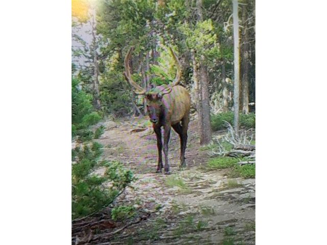 1101 County Road 99, Black Hawk, CO 80422